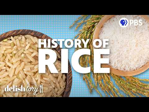 從野草到主食：水稻如何改變世界飲食 (How Did Rice Become a Staple Crop? | Delishtory)
