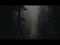 Novulent - Savior