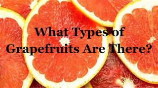 What Types of Grapefruits Are There