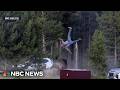 Man Tossed By Yellowstone Bison Speaks Out From Hospital Bed