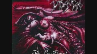 Disgorge - Furifying The Cavity