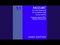 Eine kleine Nachtmusik, K. 525: IV. Rondo. Allegro
