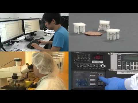 The Institute for Systems Research, University of Maryland