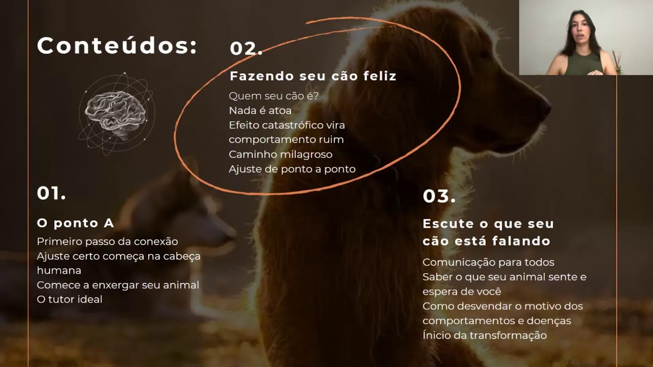 JORNADA CONEXÃO CANINA - AULA 1