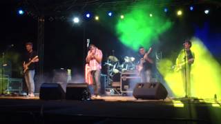 preview picture of video 'Wild Turkey Lovers Live@Suviana-1 2012.MP4'