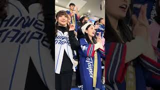 20241121 #12強　東京巨蛋外野應援 We are，Team Taiwan　#妮可 #小映  #峮峮 #wendy #チュンチュン#若潼 #rina  #プレミア12 #台湾チア