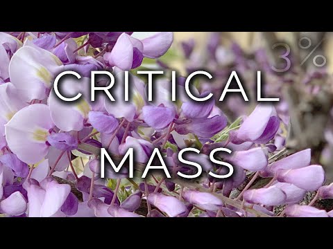 1073-IT Chiara, CRITICAL MASS - Ipnosi Esoterica ∞ Lucio Carsi