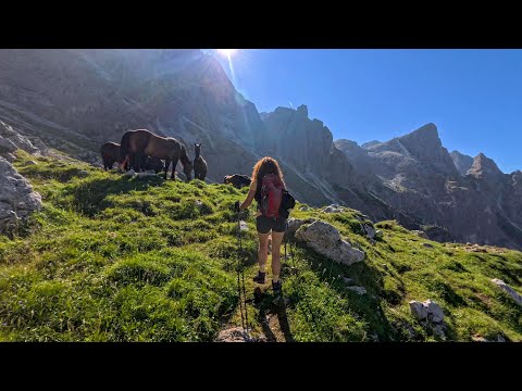 Cima Rosetta - Pale di San Martino
