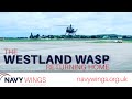 The Westland Wasp Returning Home