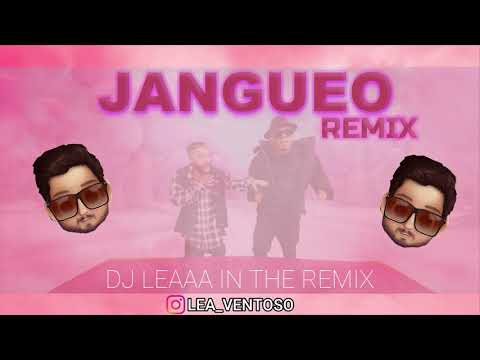 JANGUEO (Remix) | Alex Rose, Rafa Pabon ✘ DJ Leaaa [REMIX FIESTERO]