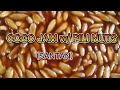 COCO JAM W PILI NUTS SANTAN Marinniesvlog Cookingchannel