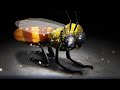 Menomena - Evil Bee (HD)