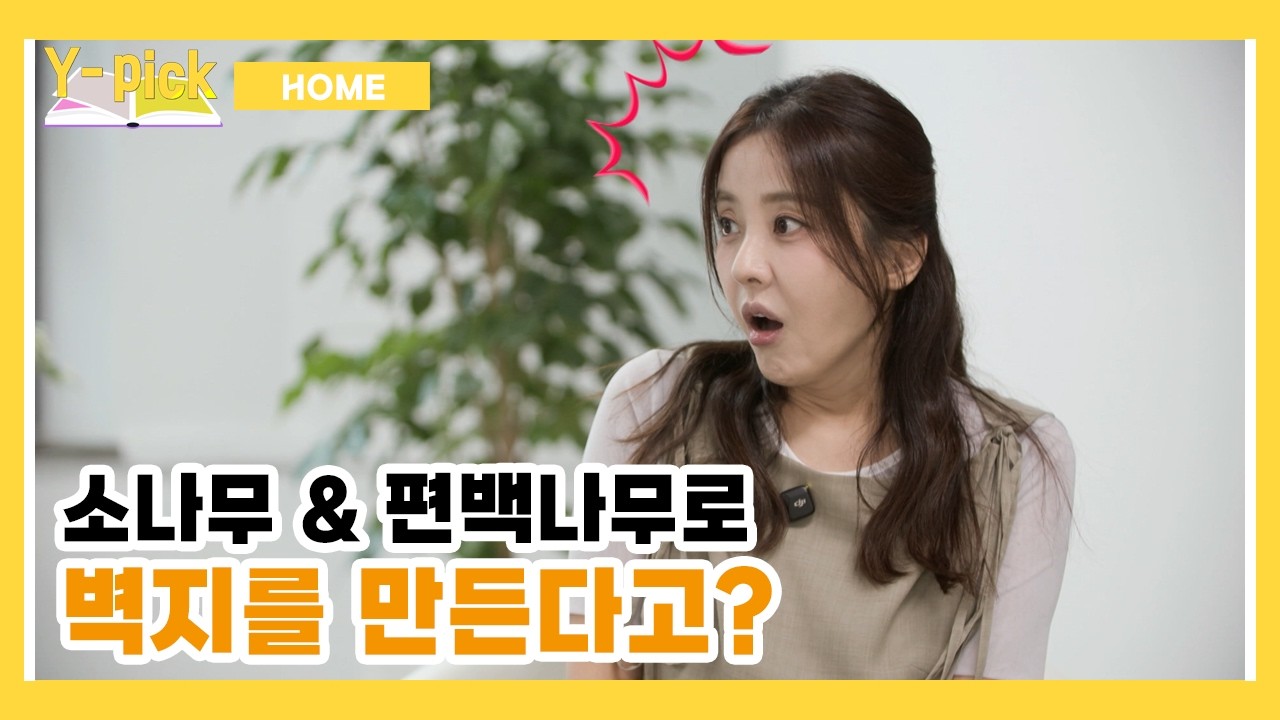 소나무 & 편백나무로 벽지를 만든다고? | Y-Pick 6-1화