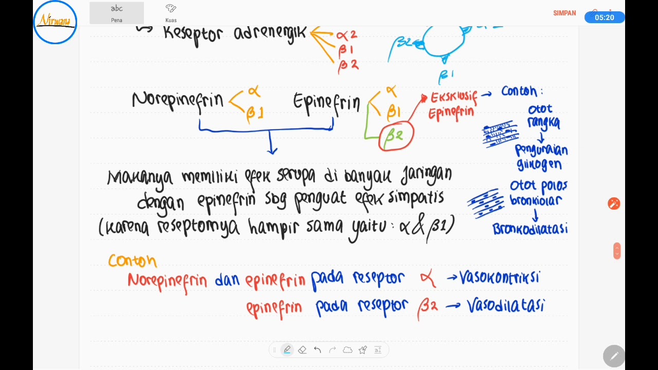 Medula Adrenal 2 : Regulasi Hormon Katekolamin
