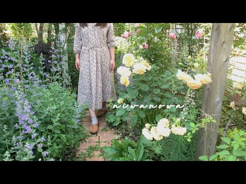 日陰でも育つ芳香植物：トップ5をご紹介します！  庭園