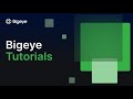Bigeye Tutorial: Bigeye overview demo