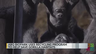 ABQ BioPark using recycling program to help save gorilla habitats