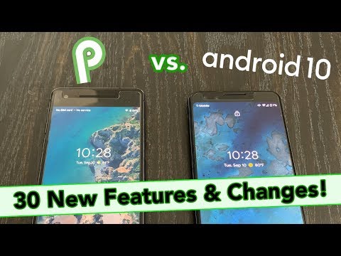 app info page android q vs android pie
