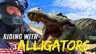 A Close Call riding through Florida's Real life Dinosaur Park!