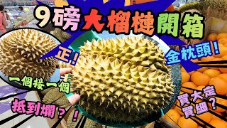 【香港美食】💥九磅大榴槤開箱 | Tp泰國金枕頭 | 買大定細好 | 大榴槤係咪多肉啲?! 大細榴槤比一比| 買榴槤似養寵物⁉️越養越正🤭🥳
