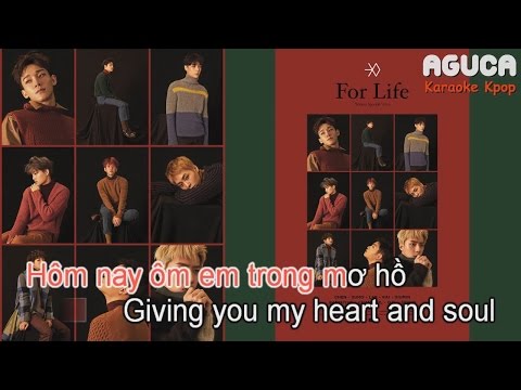 [Karaoke Việt] FOR LIFE - EXO
