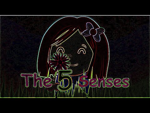 Eye Care Song "The 5 Senses - Toyor Baby English"