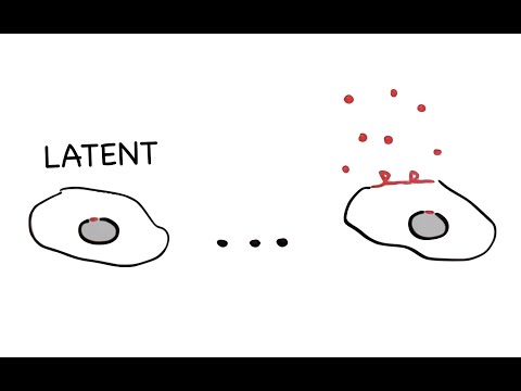 Why Haven't We Cured HIV yet?