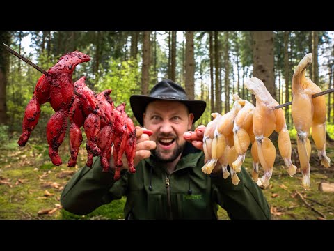 Froschschenkel im Wald grillen 😳🐸 (überraschend lecker) outdoor cooking ASMR 🔥