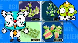 동물을 잡아먹는 식물 (식충식물 파리지옥) | 동물과식물 | 뽀롱이의 과학호기심 | 동식물동화 | 초등과학 | 깨비키즈 KEBIKIDS