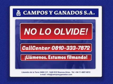 CAMPOS Y GANADOS   INSTITUCIONAL