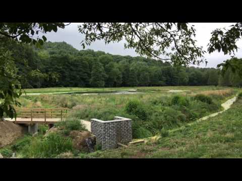 Balade dans le Parc du Château de Monceau-sur-Sambre