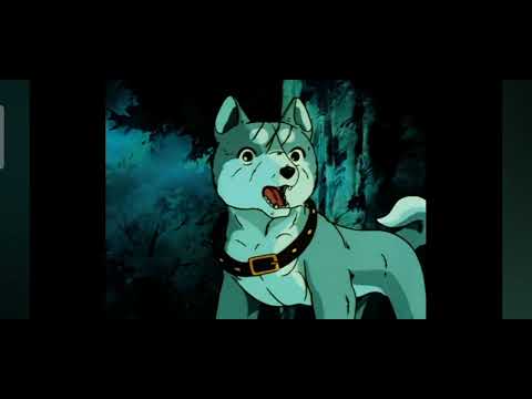 GIN VS SNIPER|GINGA NAGAREBOSHI GIN #silverfang #gin #weed #gingaweed #akakabuto #japan #anime #dog