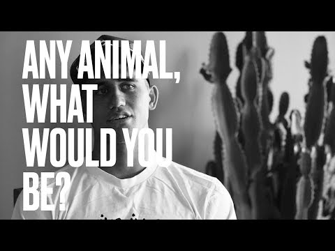 Dropping In with Zeke Lau