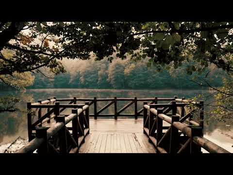 8 Hours  - Relaxing Nature Sounds of Birds Singing on the Lakeshore and Water Sounds