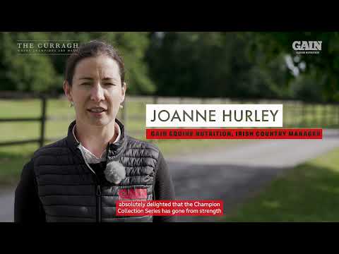 Fozzy Stack and Castle Star aim for victory in the GAIN Railway Stakes