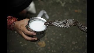 Re: [閒聊] 兇殺案結果兇手是隕石...？！