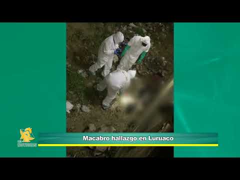 Hallan cuerpo en avanzado estado de descomposición y con signos de violencia