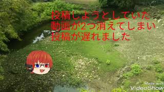 ※お知らせ #Shiyado
