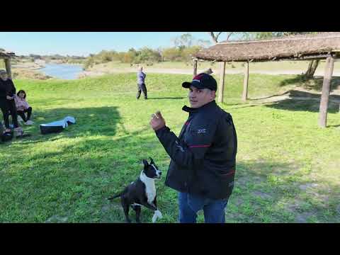 Camping Don Anibal - El Sombrerito