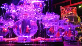 Art Aquarium &amp; Nina Kravitz@Nijo Castle（二条城） music play by W&amp;W@kitsune-kyoto