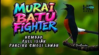 Download lagu MURAI BATU GACOR JUARA NASIONAL MUNTAH ISIAN PACING EMOSI LAWAN  mp3