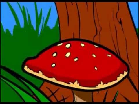 Badgers Song [10 Minutes][Lyrics][Annoying]