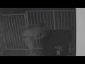 Web Extra Peeping Tom In Davie