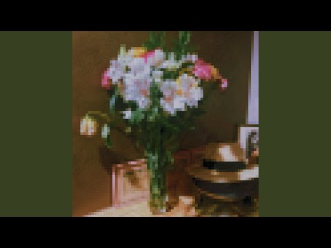 Cozy - Operelly