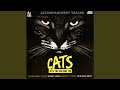 The Ad-dressing of Cats (Guide Vocal Version)
