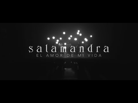 El Amor De Mi Vida - Salamandra
