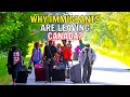 Why Immigrants Are Leaving Canada in Record Numbers?