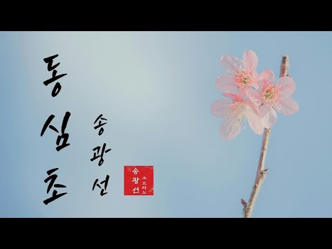 동심초 (소프라노 / 송광선)