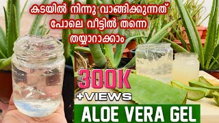 Aloe Vera Gel (കറ്റാർവാഴ) ഇനി വീട്ടിൽ ഉണ്ടാക്കാം |How To Make Aloe Vera Gel at Home