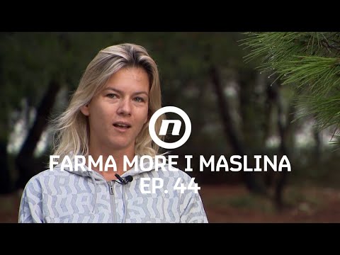 Dora otkrila svoju veliku želju - Epizoda 44 | Farma More i Maslina